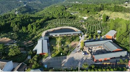 聚會、團建、散心，來這里就對咯！——星級公園觀光服務全體驗