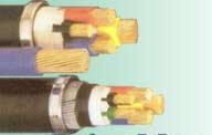 河北鎧裝耐火控制電纜NH-KVV22 生產廠家、產品特性與應用解析
